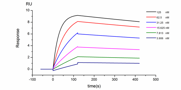 SPR親和(hé)力測定