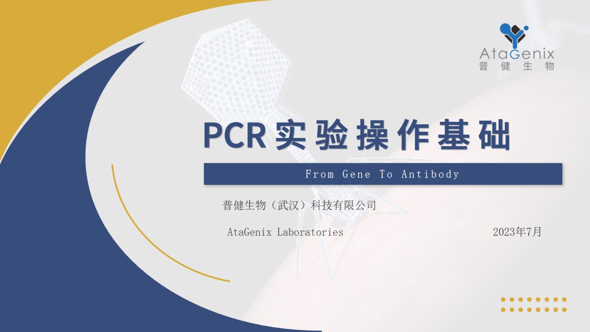 基礎試驗操作(zuò)篇——PCR實驗