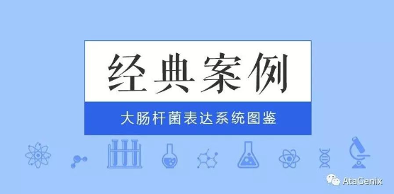 經典案例|普健大(dà)腸杆菌表達系統