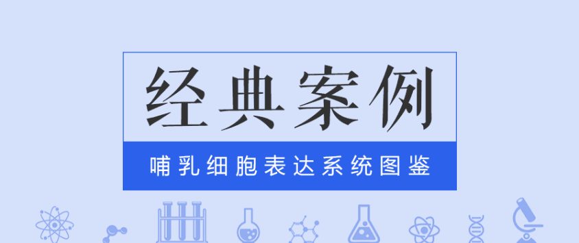 經典案例|普健哺乳動物細胞表達系統之scfv表達