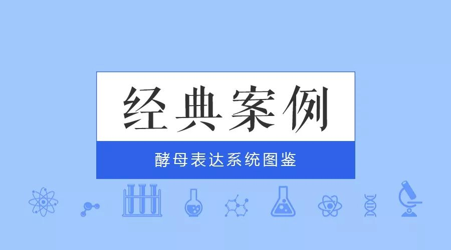 經典案例|普健生物酵母表達系統