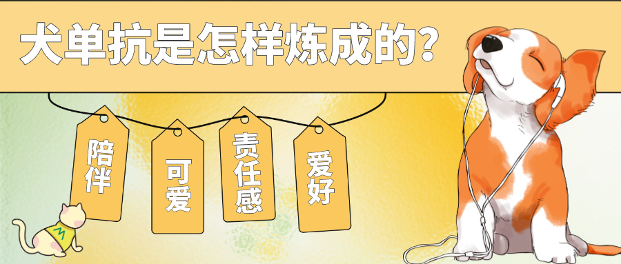 首款犬的單克隆抗體獲批！犬單抗是怎樣煉成的？