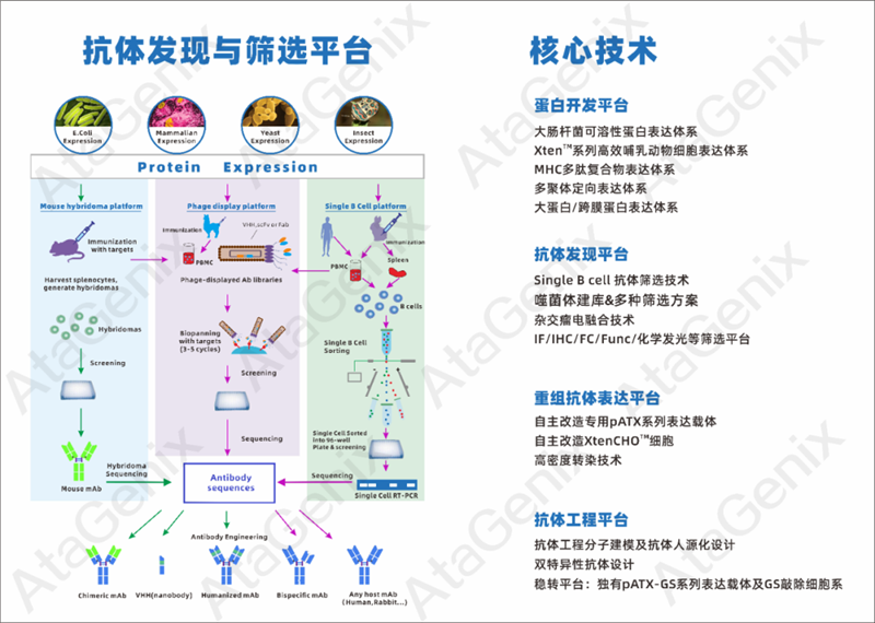 武漢國家生物産業基地公共服務平台—光谷抗體發現(xiàn)與篩選公共服務平台