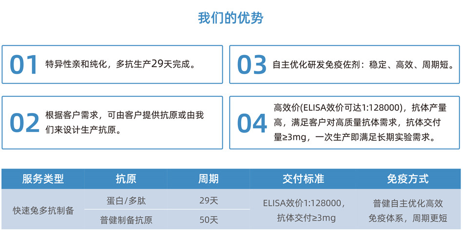 快(kuài)速兔多克隆抗體定制服務