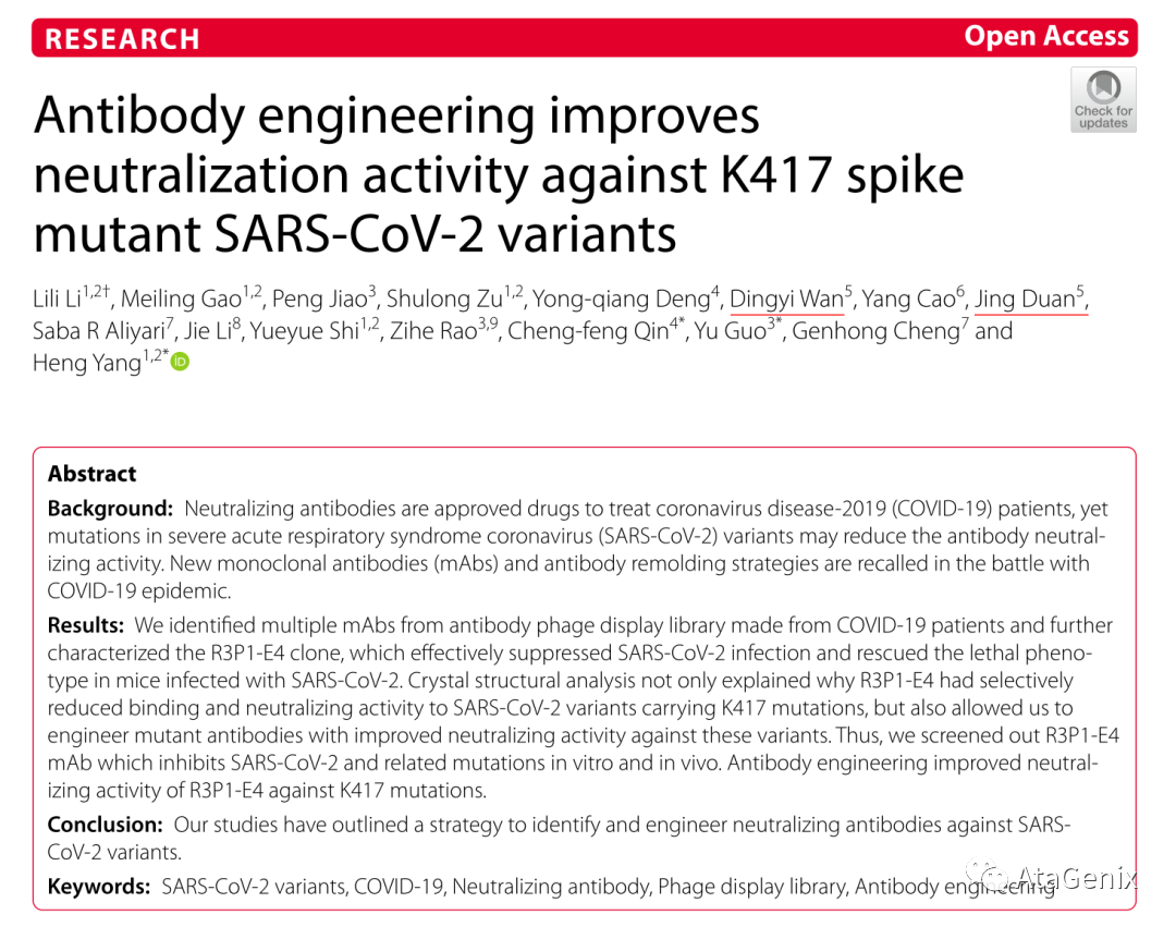 新作(zuò)見刊|新冠病毒中和(hé)抗體的發現(xiàn)與廣譜性親和(hé)力的優化
