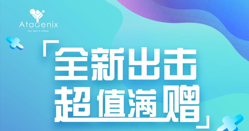 年底重磅 ▏下(xià)單即贈禮，滿額就加送~超多實用(yòng)禮品等你(nǐ)來(lái)拿