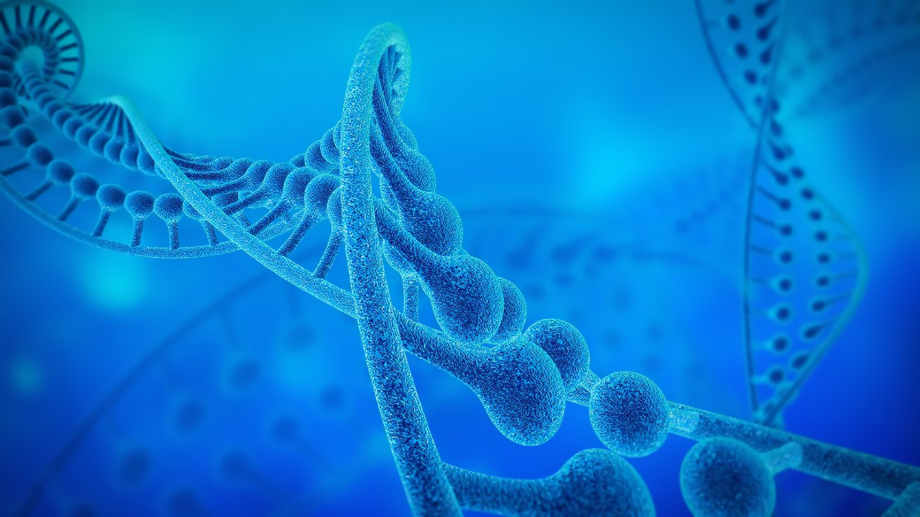 溶酶體酶PPT1介導的細胞穩态調控及疾病發生的研究