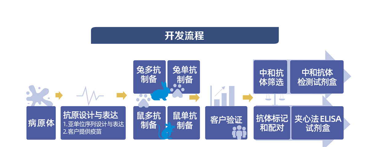 疫苗研發輔助工(gōng)具開(kāi)發